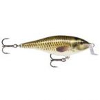 Shad Rap Shallow Runner 05 CARP